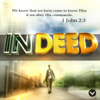 Indeed - Week 1b | Children of Light