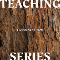 Living Sacrifice: True Worship - Andy Tilsley