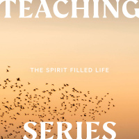 The Spirit Filled Life: Gifts and Guidance - Jo Wells