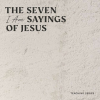 I Am: The Light of the World - Lars Due-Christensen