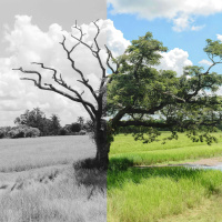 How to Live While Youre Living