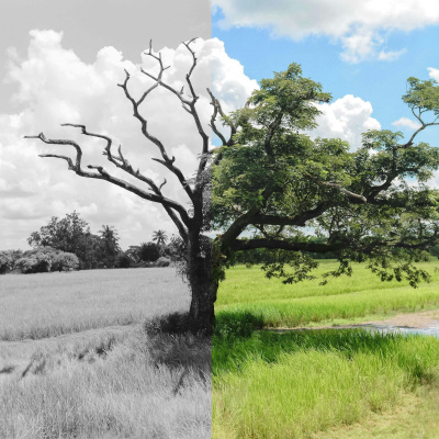 You Start Today With Dr. Lee Warren | Weekly Prescriptions To Become Healthier, Feel Better, And Be Happier.