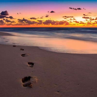 You Start Today With Dr. Lee Warren | Weekly Prescriptions To Become Healthier, Feel Better, And Be Happier.