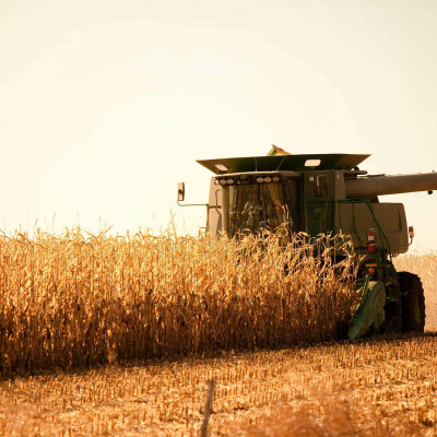 You Start Today With Dr. Lee Warren | Weekly Prescriptions To Become Healthier, Feel Better, And Be Happier.