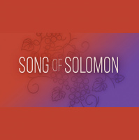 SOS: Ask A Song of Solomon QA