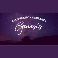Genesis 1 and 2: Creation, Sex, and Marriage