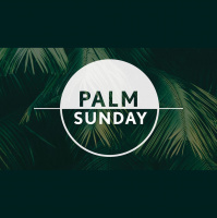 Palm Sunday: The Cloaked Jesus