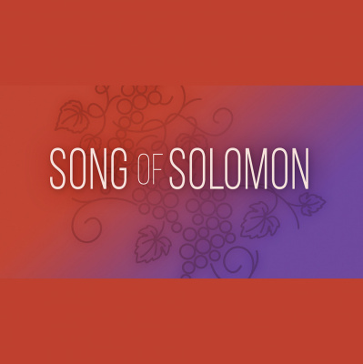 Village Church Of Bartlett Sermons