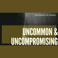 Gods Faithfulness Through Intense History (Daniel 11) (Audio)