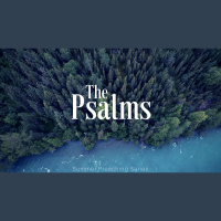 Psalm 102 - How Should We Handle Times of Affliction