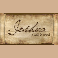 Introduction to Joshua