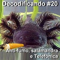 Decodificando - Episodio 20 - Lei anti fumo, salamandras e Telefonica