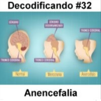 Decodificando - Episodio 32 - Anencefalos, Ecad, orcamento na ciencia, etc