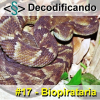 Decodificando - Episodio 17 - Biopirataria