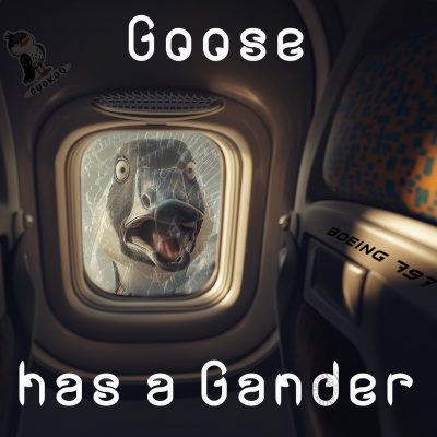 Airline Pilot Guy - Aviation Podcast