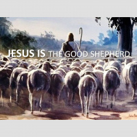 JESUS IS THE GOOD SHEPHERD