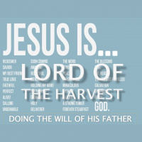 JESUS IS LORD OF THE HARVEST - John 4:25-42