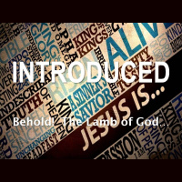 JESUS IS INTRODUCED - John 1:6-34