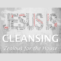 JESUS IS CLEANSING - John 2:13-35