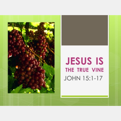 John - The Jesus Is Gospel