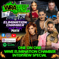 MCS - WWE Elimination Chamber 1 on 1 Interview Special