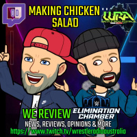 MCS - WWE Elimination Chamber review