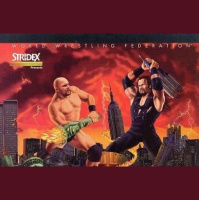 SummerSlam 1998: Steve Austin vs. Undertaker
