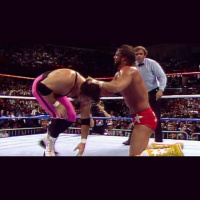 Randy Savage vs. Bret Hart (Saturday Nights Main Event, 1987)