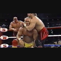 Hulk Hogan  Genichiro Tenryu vs. The Road Warriors (Wrestlefest 1991)
