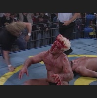Starrcade 1995: Ric Flairs last stand
