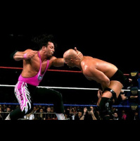 The Bret Hart vs. Steve Austin feud