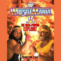 WrestleMania 5: Randy Savage vs. Hulk Hogan