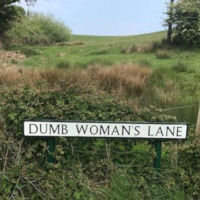 Episode 328 - Riding on Dumb Womans Lane