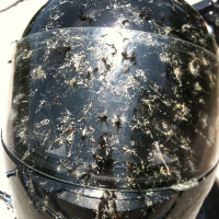 Episode 205 - When Big Things Hit Your Face