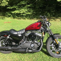 Episode 165 - Rider Rides with Michele and her Harley Iron 883 Sportster