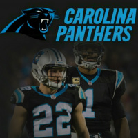 Ep 362: #Panthers 2019 Team Preview with Bill Riccette @Bill_Riccette from @thepantherswire!