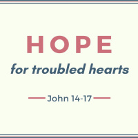 Hope for Troubled Hearts - John 14:27-31 (Pete McVey) 28th June 2020