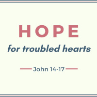 Hope For Troubled Hearts - The Way, the Truth, the Life (Pete McVey) 31st May 2020