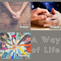 A Way of Life - Wonders (Sam Morris) 9th October 2016