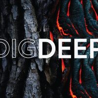 Deepen Our Compassion (David King) 30th June 2024