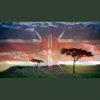 Kenya / The Lords Table - Audio