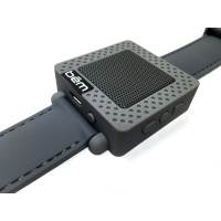 BlindSquare mit Bluetooth-Lautsprecher nutzen