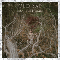 Old Sap Interview