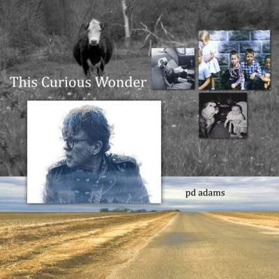 Americana Music Profiles