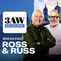 The real problem Carlton are facing according to Mark Allen 