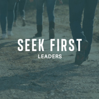 Seek First - Peter Webber
