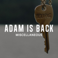 Adam is Back - Peter Webber