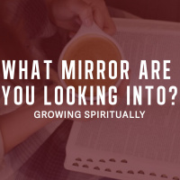 What Mirror Are You Looking Into? - Peter Webber