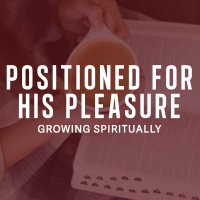 Positioned For His Pleasure - Peter Webber