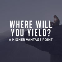 Where Will You Yield - Peter Webber